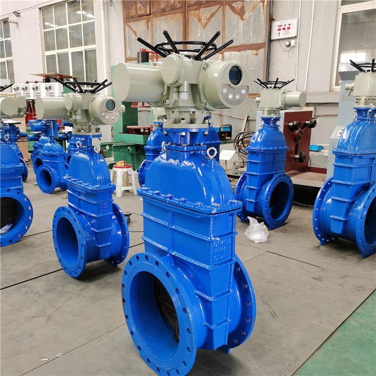電動閘閥Z941h -64 DN500（石化行業(yè)、煉油廠、化工廠）