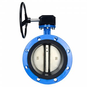 法蘭式蝸輪蝸桿蝶閥DN40，1.6Mpa（橡膠密封